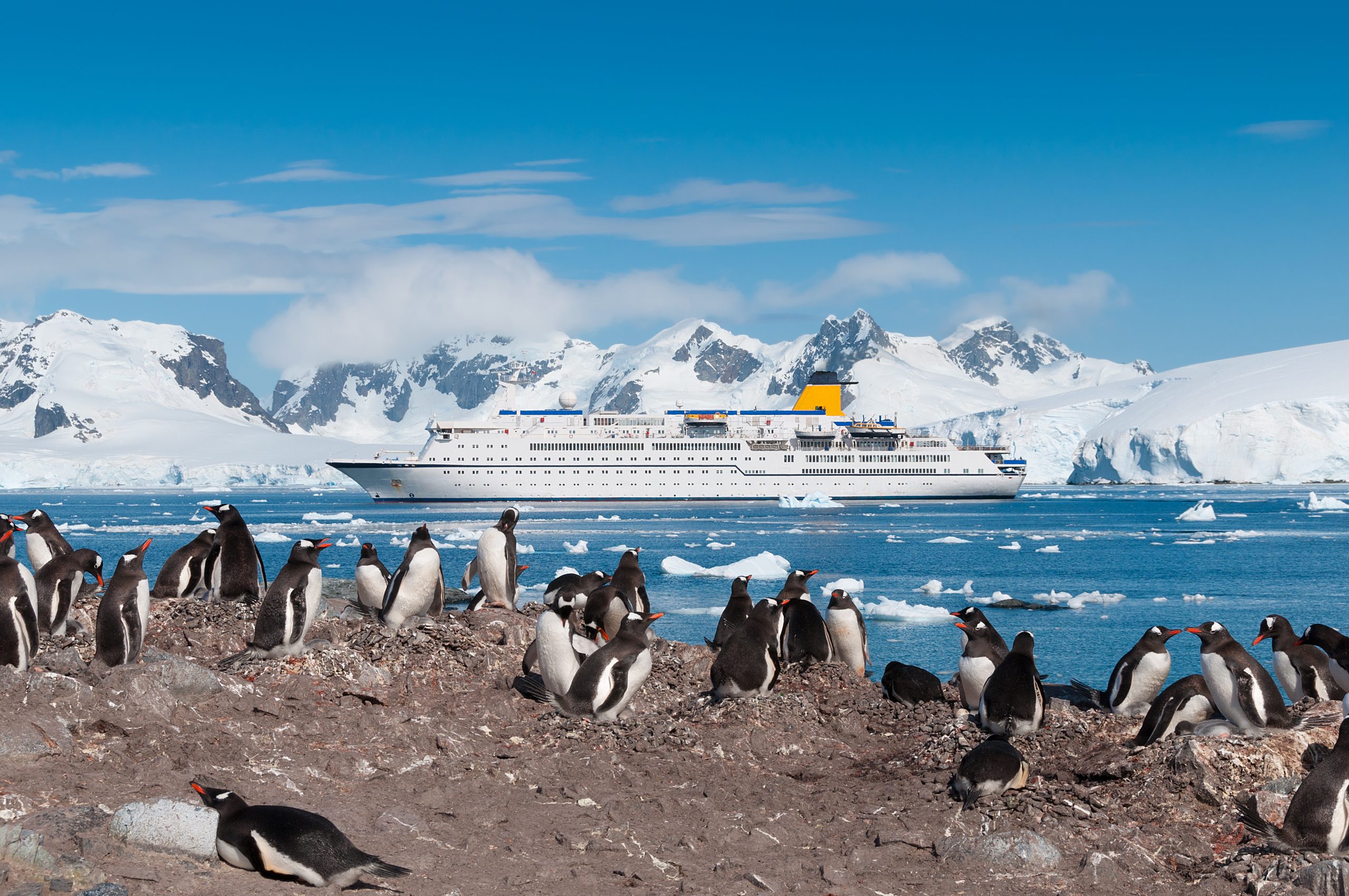 Expedition Cruises